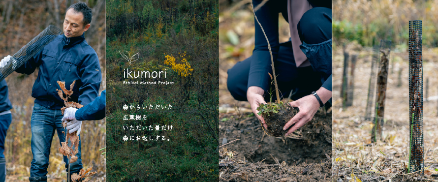 ikumori［イクモリ］複合北海道産ナラ150幅UV塗装